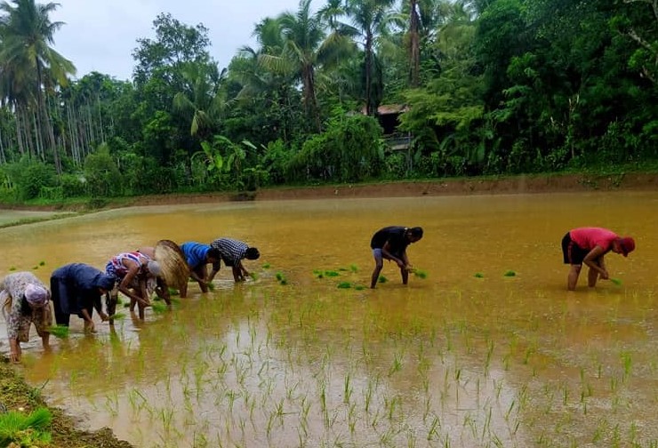 kerala faming 