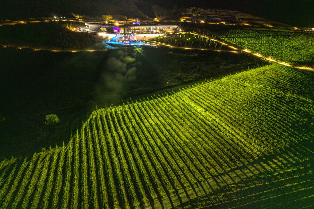 When Vineyards Become Art Galleries 1 Vineyards